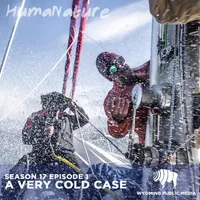 HumaNature artwork