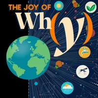 The Joy of Why artwork