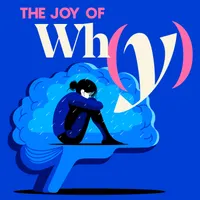 The Joy of Why artwork