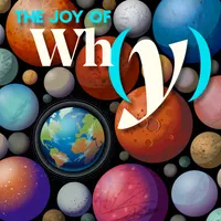 The Joy of Why artwork