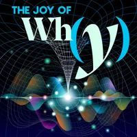 The Joy of Why artwork