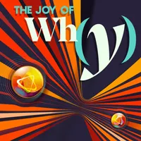 The Joy of Why artwork