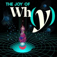 The Joy of Why artwork