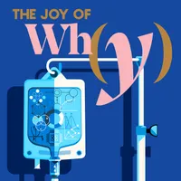 The Joy of Why artwork