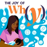 The Joy of Why artwork