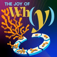 The Joy of Why artwork