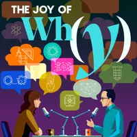 The Joy of Why artwork