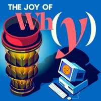 The Joy of Why artwork