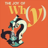 The Joy of Why artwork