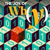 The Joy of Why artwork