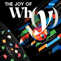 The Joy of Why artwork