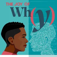 The Joy of Why artwork