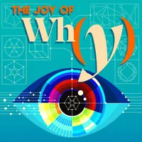 The Joy of Why artwork