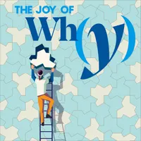 The Joy of Why artwork