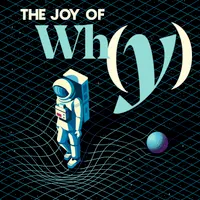 The Joy of Why artwork