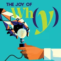 The Joy of Why artwork