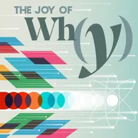 The Joy of Why artwork