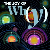 The Joy of Why artwork