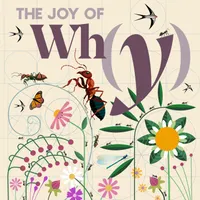 The Joy of Why artwork