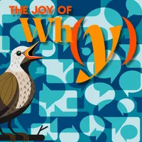The Joy of Why artwork
