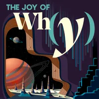 The Joy of Why artwork