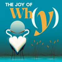 The Joy of Why artwork
