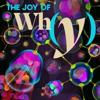 The Joy of Why artwork