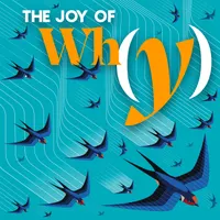 The Joy of Why artwork
