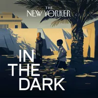 In The Dark artwork