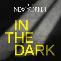 In The Dark artwork