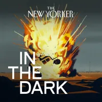 In The Dark artwork