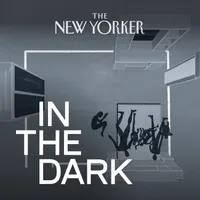 In The Dark artwork