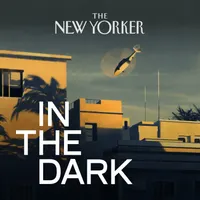 In The Dark artwork