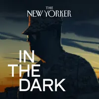 In The Dark artwork
