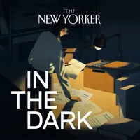 In The Dark artwork