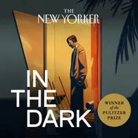 In The Dark artwork