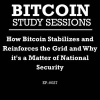 Bitcoin Study Sessions artwork