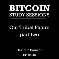 Bitcoin Study Sessions artwork