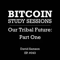 Bitcoin Study Sessions artwork