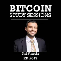 Bitcoin Study Sessions artwork