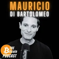 THE Bitcoin Podcast artwork