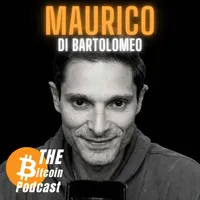 THE Bitcoin Podcast artwork