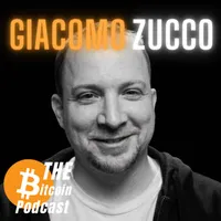 THE Bitcoin Podcast artwork