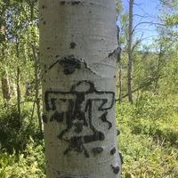 Field Recordings artwork
