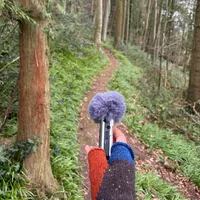 Field Recordings artwork