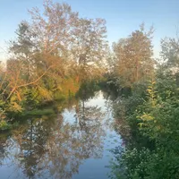 Field Recordings artwork