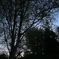 Field Recordings artwork