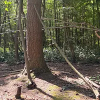 Field Recordings artwork