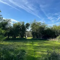 Field Recordings artwork