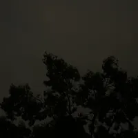 Field Recordings artwork